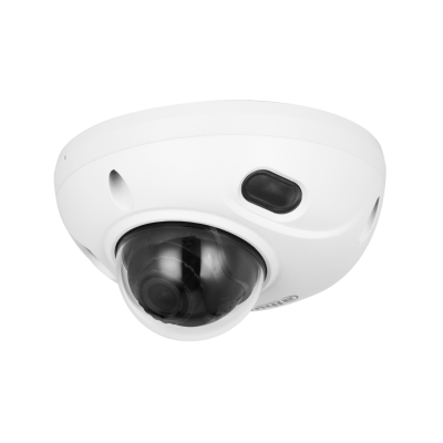 8MP IR Fisheye Dome WizSense Network Camera